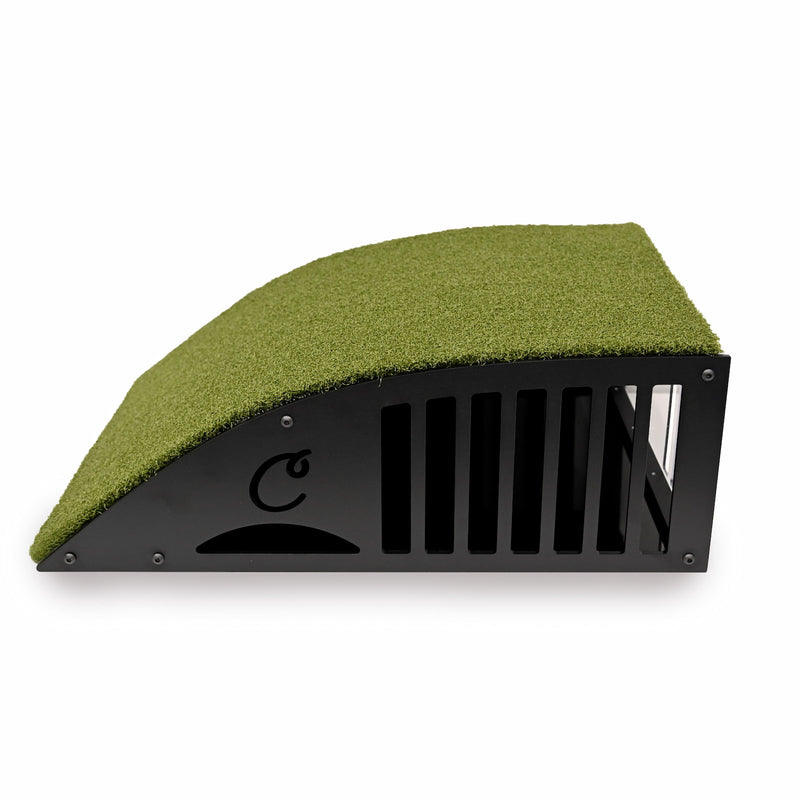 Carl's Place Floor Enclosure (Projector)