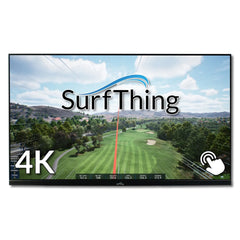 SurfThing D2424H Monitor