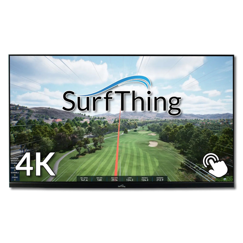 SurfThing D2424H Monitor
