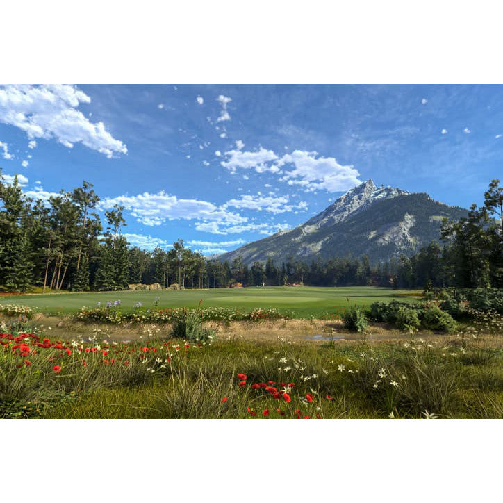 TruGolf E6 Apex - 1 Year Subscription