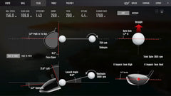 FSX Golf Simulator Software